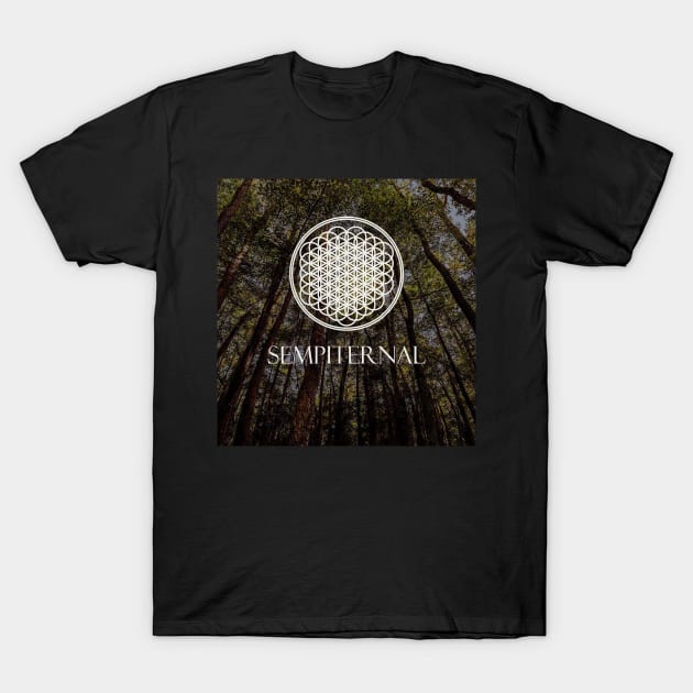 Sempiternal Sign T-Shirt by Dr_Fetus12